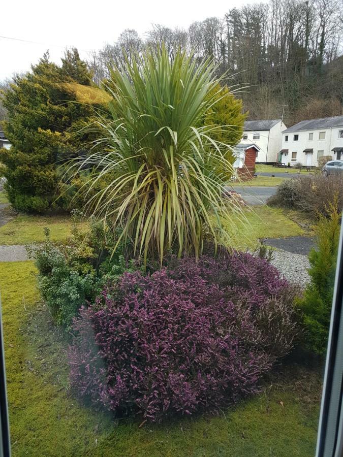 Cabin 246 Riverside, Glan Gwna Caeathro Buitenkant foto